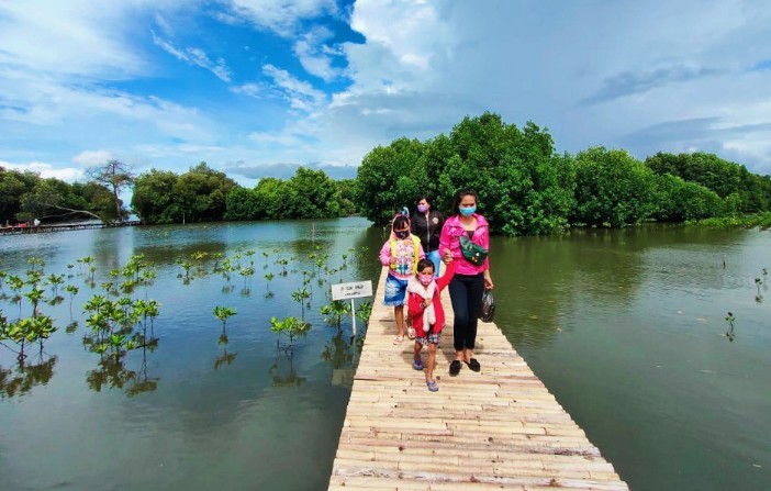 Indahnya Menjelajahi Pesona Destinasi Wisata Hutan Mangrove di Tangerang