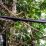Kabel Listrik PLN di Desa Punjung Membahayakan Warga