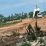 Dampak Proyek Pengurugan Dikeluhkan Warga, Begini kata Kades Junaedi