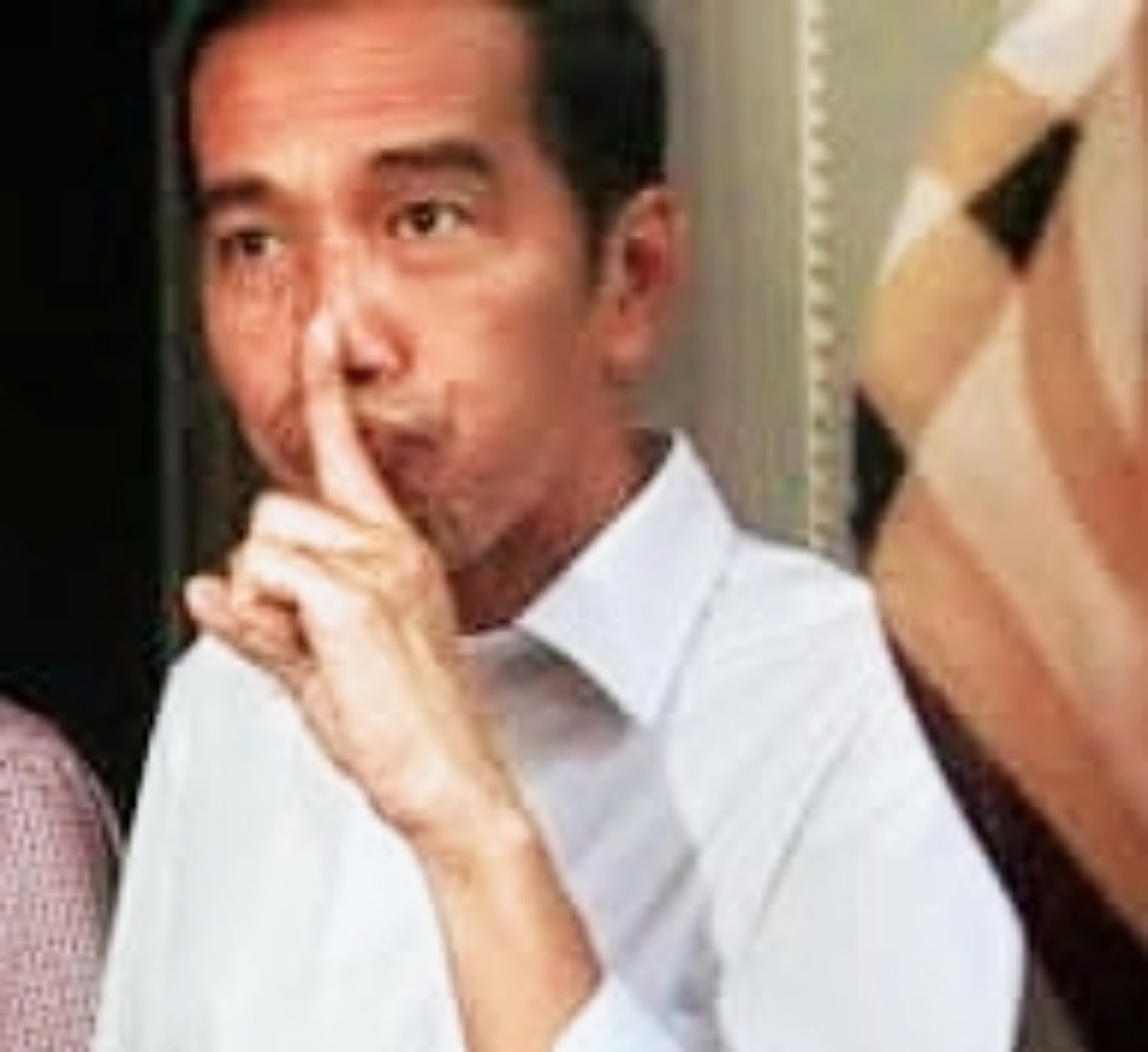 Mulai Fokus Pembuktian Ijazah Palsu Jokowi