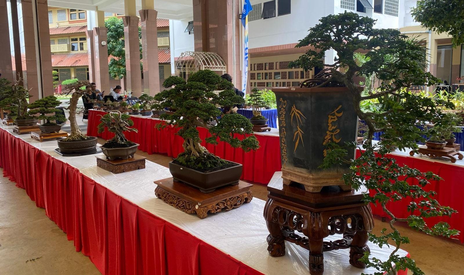Rumah Bonsai Indonesia (RUBI) menggelar acara yang sangat menarik, yaitu Gebyar Bonsai Tangerang. Acara ini berlangsung di Plaza Pusat Pemerintahan Kota Tangerang pada hari Senin, 17 Februari 2025.