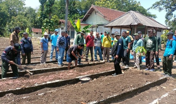 Guna Optimalisasi Aset, Perhutani Latih Karyawannya Budidaya Cabai