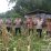 Polresta Tangerang panen jagung hibrida di Panongan dukung ketahanan pangan lewat program 1 Desa 2 Hektare bersama petani dan pemerintah desa.