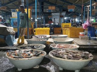 Harga ikan di TPI Cituis Tangerang masih tinggi pasca Tahun Baru. Pedagang sebut kenaikan biaya plastik dan faktor cuaca sebagai penyebab utama.