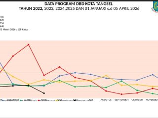 Dinkes Tangsel: Kasus DBD Menurun