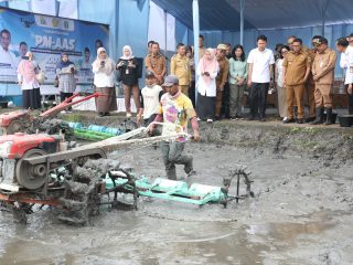 Sawah Kota Serang Jadi Proyek Percontohan Nasional, Agis: Diupgrade 10 Ton per Hektar