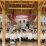HMPS PBA UIN SMH Banten Gelar Upgrading dan Rapat Kerja Periode 2026