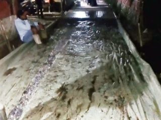 Proyek Pengecoran Jalan Poros Desa Pangkalan Diduga Curi Ketebalan